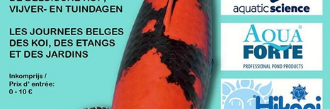 Belgian Koi Society