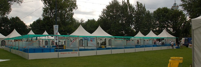 Belgium Koi Meeting 2009