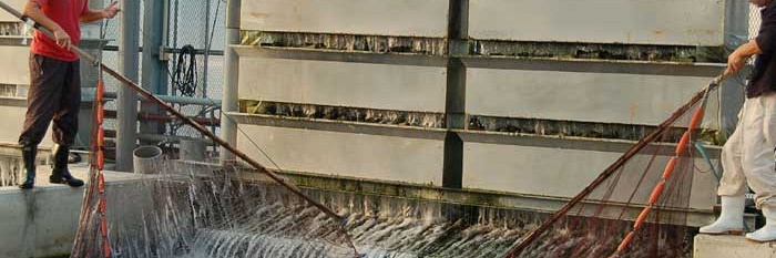 Beluchting en waterverplaatsing