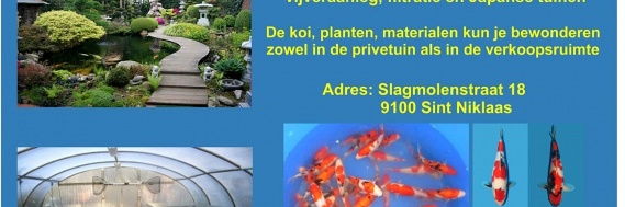 Bij Zenkoi moet je zijn