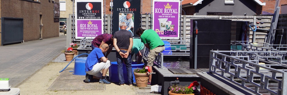 Bloedheet en enorm druk