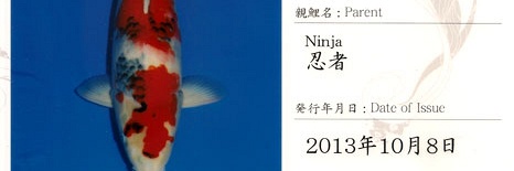 Certificaten Sakai FF
