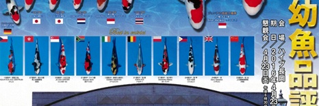 De All Japan Junior Koi Show komt eraan