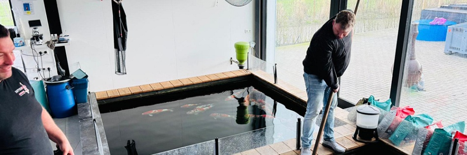 de eerste koi hebben Ameide verlaten