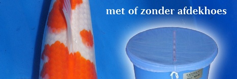 De enige echte Japanse bowls