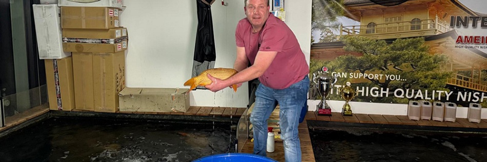 De invasie van de éénkleurigen