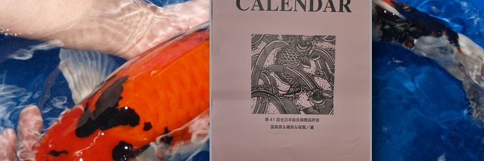 De kalender 2011