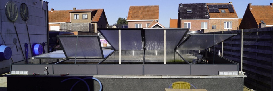 De kappen open
