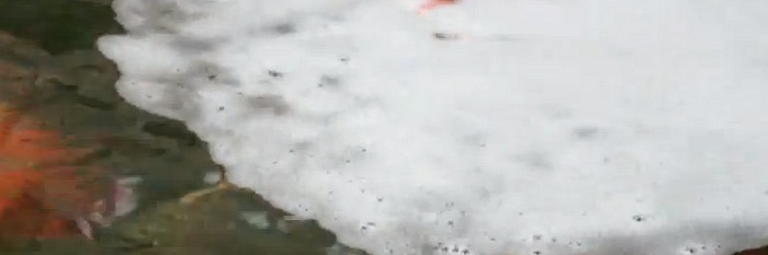 De kleintjes groeien als kool