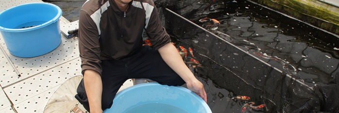 De kleintjes werden groot