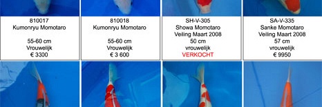 De koi die je kan zien op zaterdag 13 december