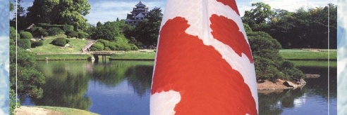 de Momotaro farm in beeld