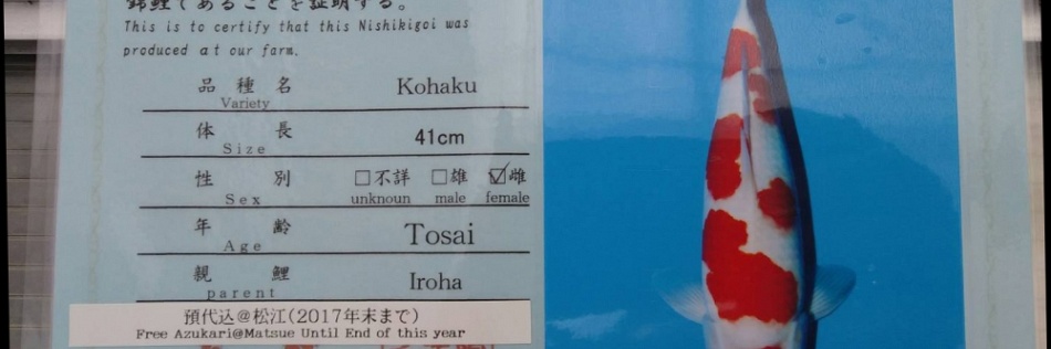De Narita event is voorbij !
