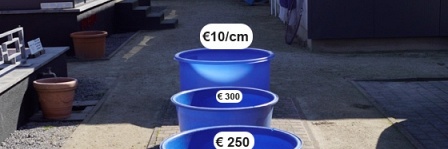 De opruimingsvijver