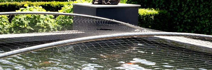 De symfonie van de algen