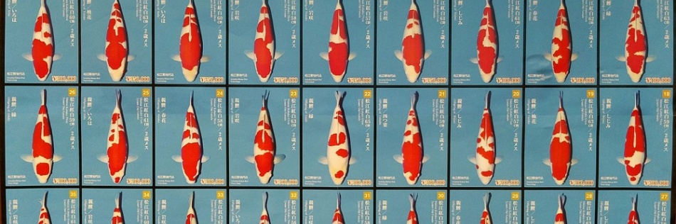 De Tategoi Kai