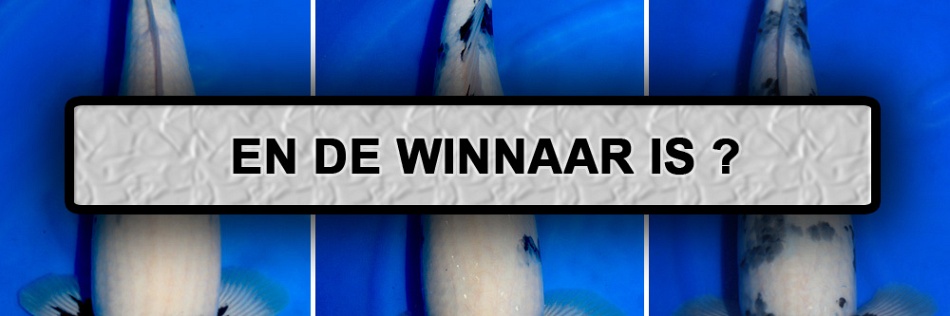 De uitleg van Ben over de shiro