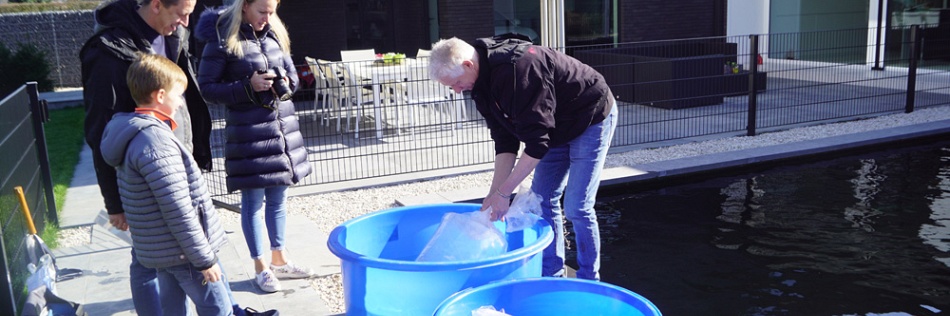 De vijver van Christof en Ann