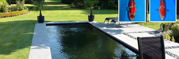 De vijver van Gino