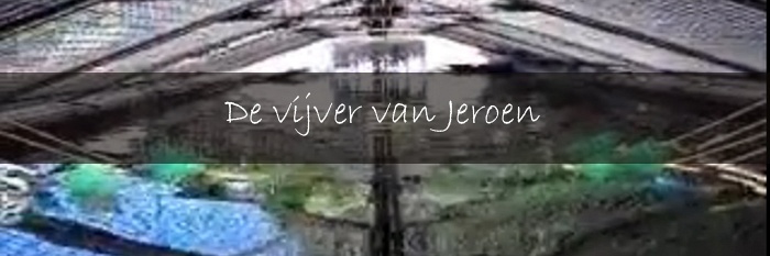 De vijver van Jeroen