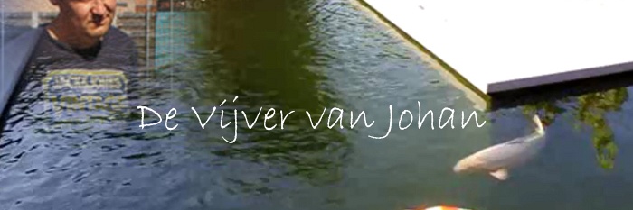 De vijver van Johan