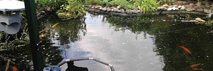 De vijver van Rob en Tara