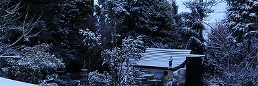De winter. Wat nu? (deel 3)
