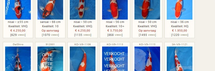 December actie 01