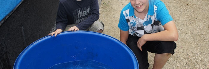 Dit is de dader