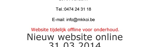 Drie vliegen in één klap