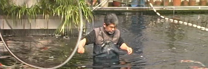 DVD van Momotaro