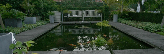Een fifty-fifty voorstel