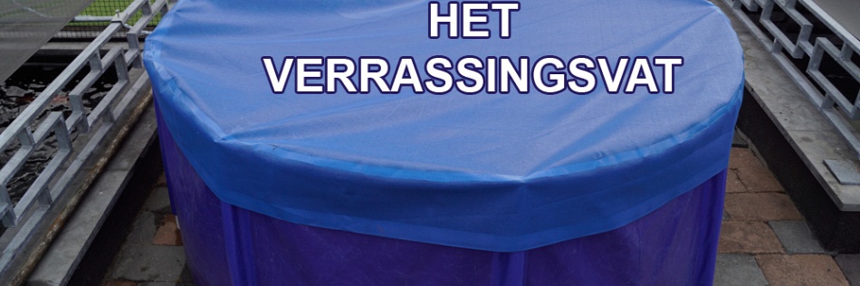 Een gezonde aderlating