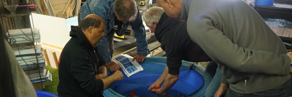 Een interessant project