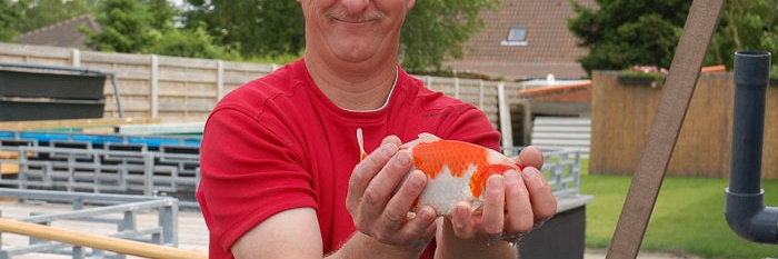 Een kwartet in aanbod