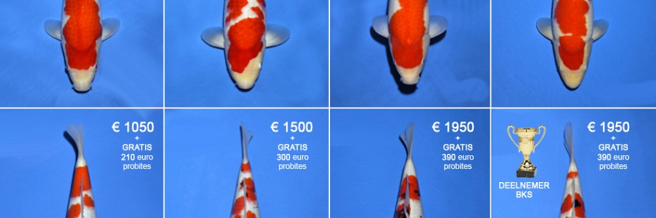 Een laatste voorstelling