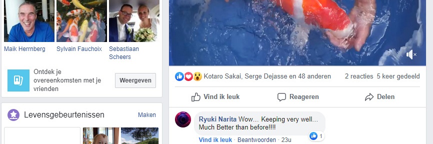 Een nieuwe dag, een nieuw verhaal