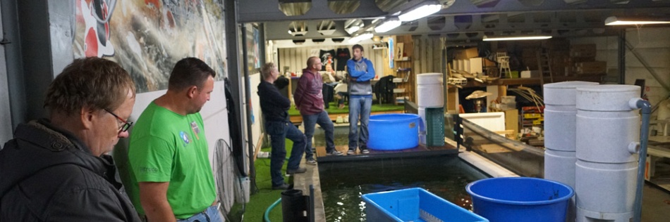 Een regelrechte ramp