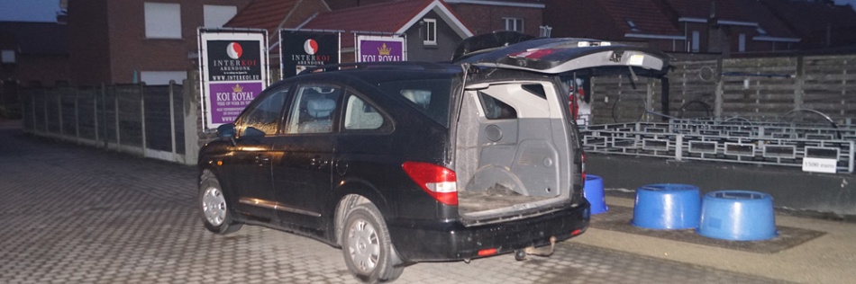 Een sanke en een sandan kohaku vertrekken