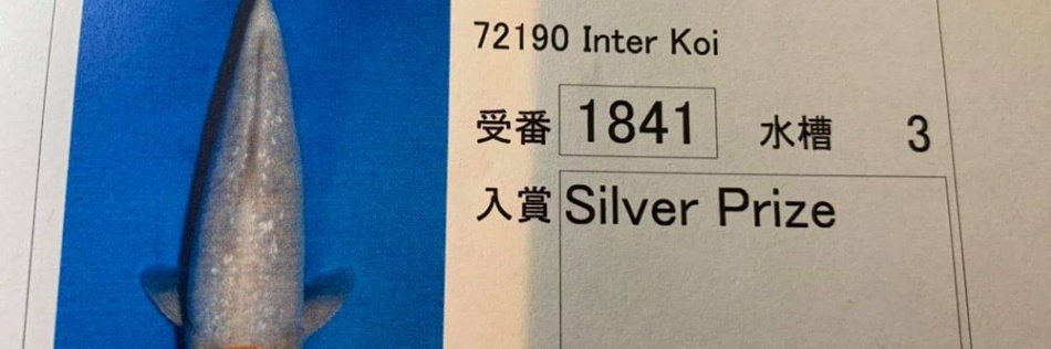 Een silver prijs in Japan