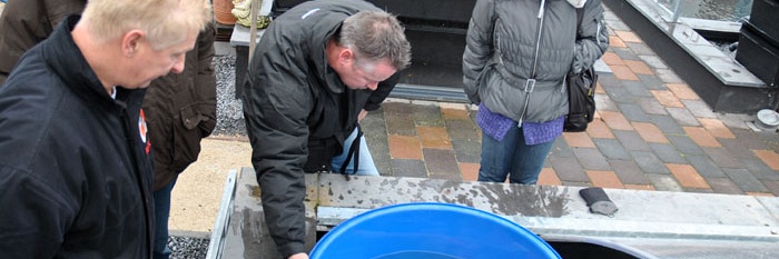 Een veelbelovend begin van het nieuwe jaar