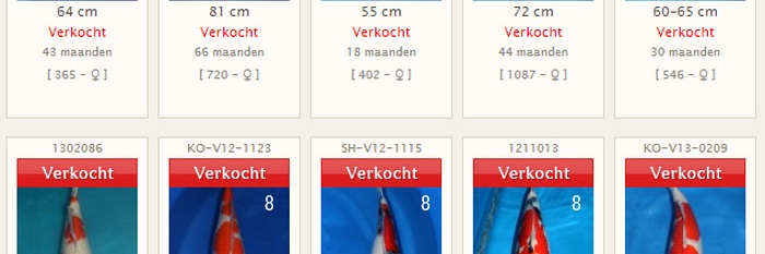 Einde winterperiode en ophalen koi
