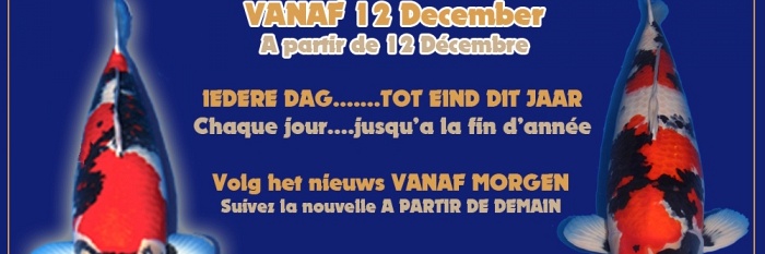 Eindejaarsoffensief