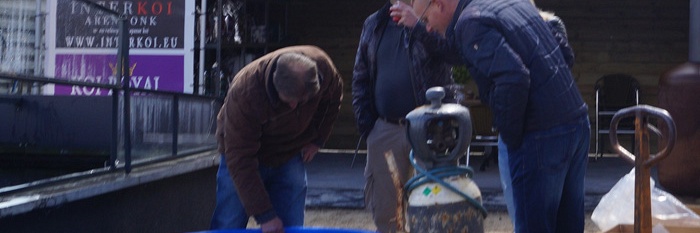 En plots waren ze daar
