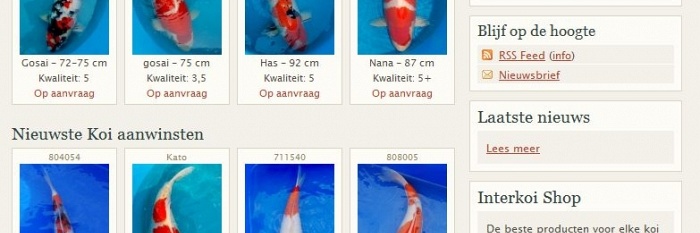 Enkele kleine veranderingen website