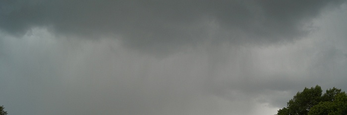 Euregio koishow zaterdag