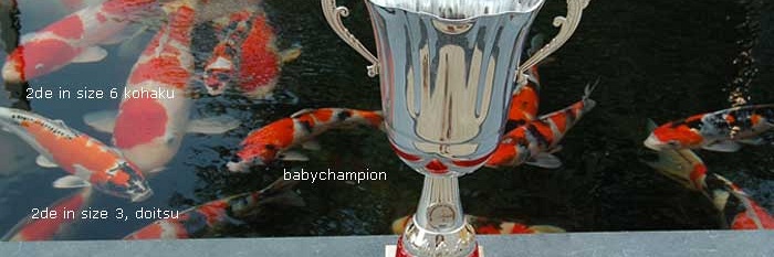 Filmpje baby champion