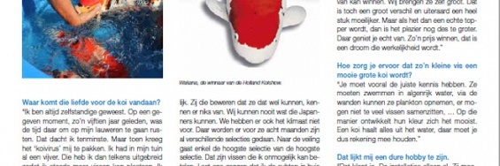 Helemaal in de ban van het koivirus
