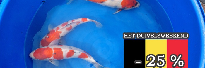 Het Duivelsweekend
