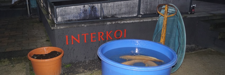 Het eenkleurige geweld